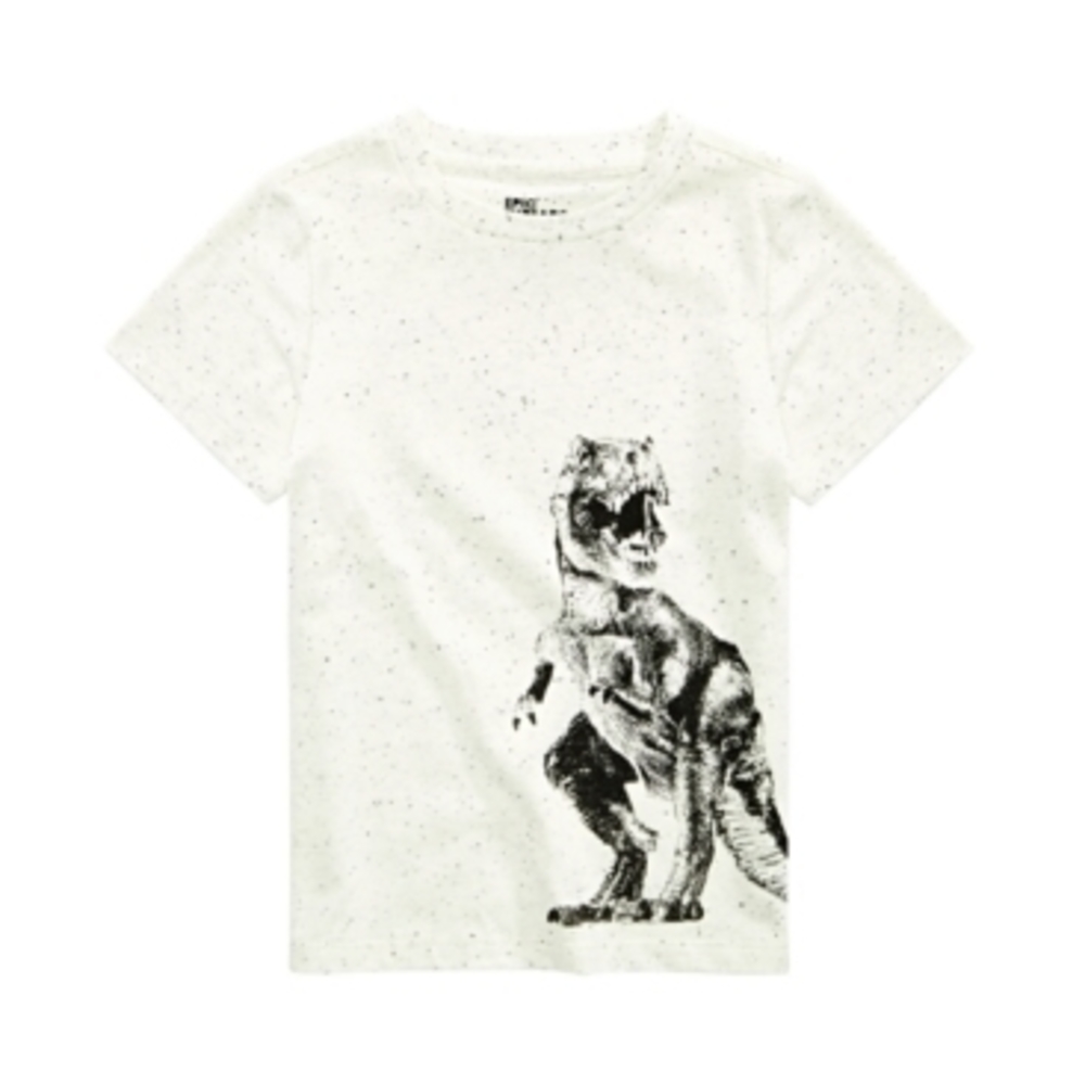 Epic Threads Big Dino T-Shirt for Boys - Stone